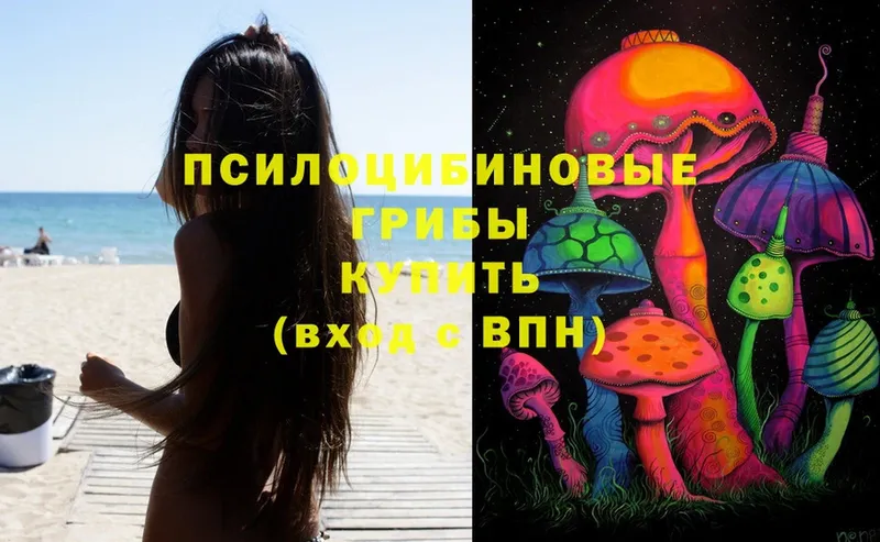 Псилоцибиновые грибы Magic Shrooms  darknet телеграм  Кубинка 